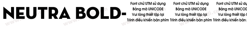 Neutra bold字体转换 Neutra bold字体转换